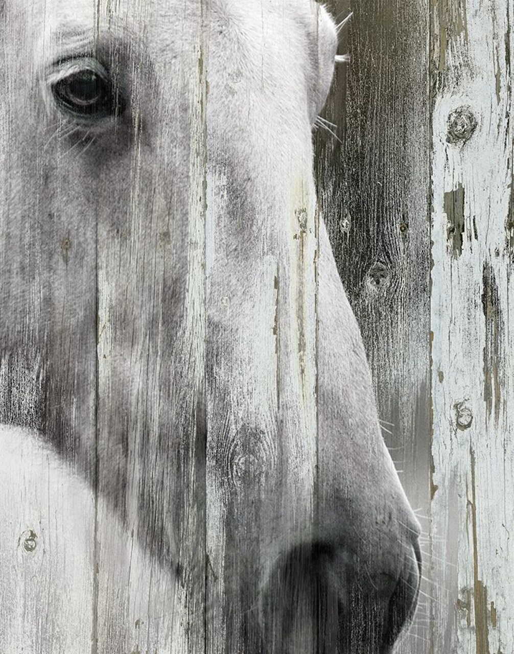 Contemplation Poster Print by Carol Robinson - Item # VARPDX19877